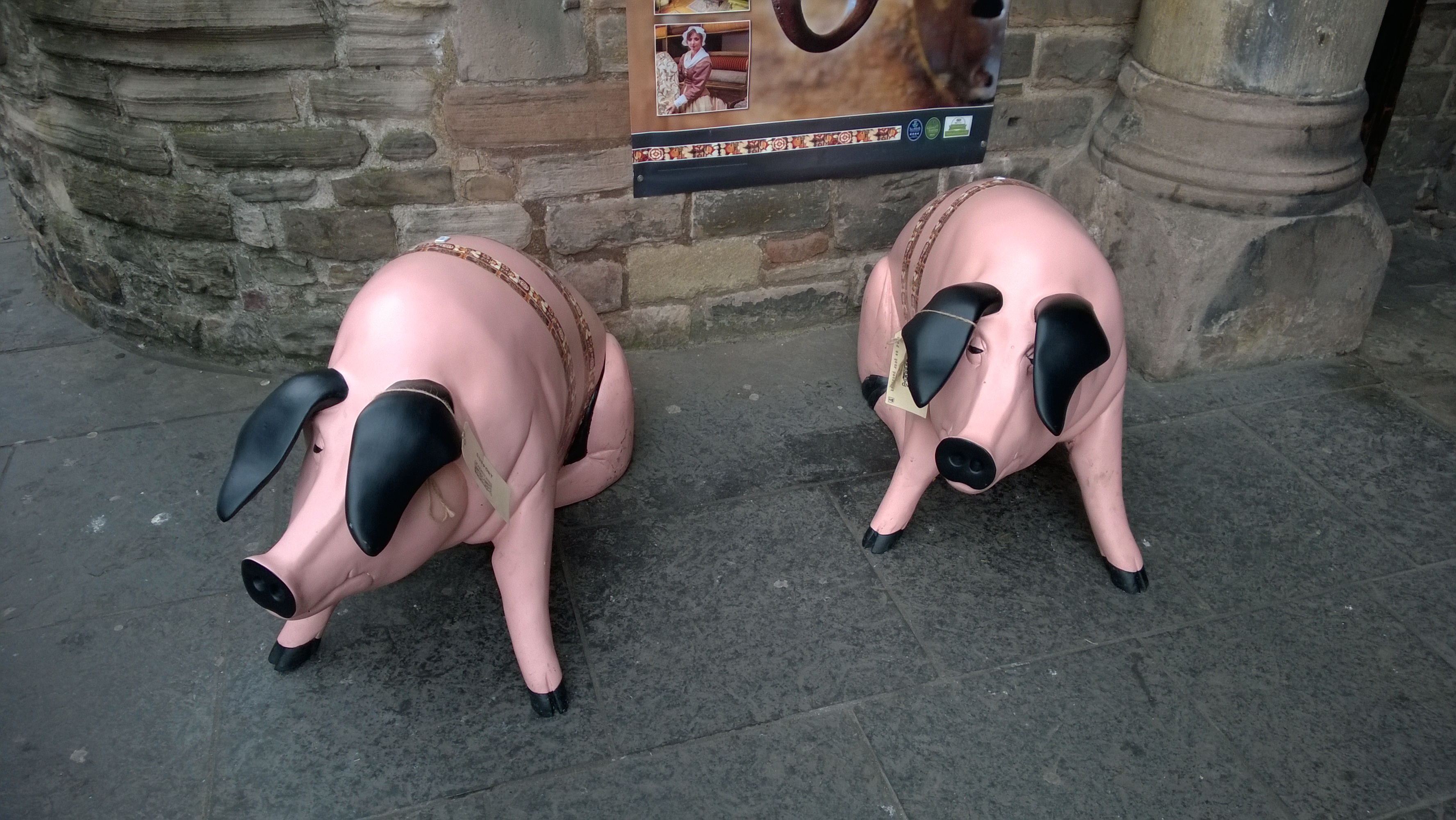 Edinburgh Pig Statues