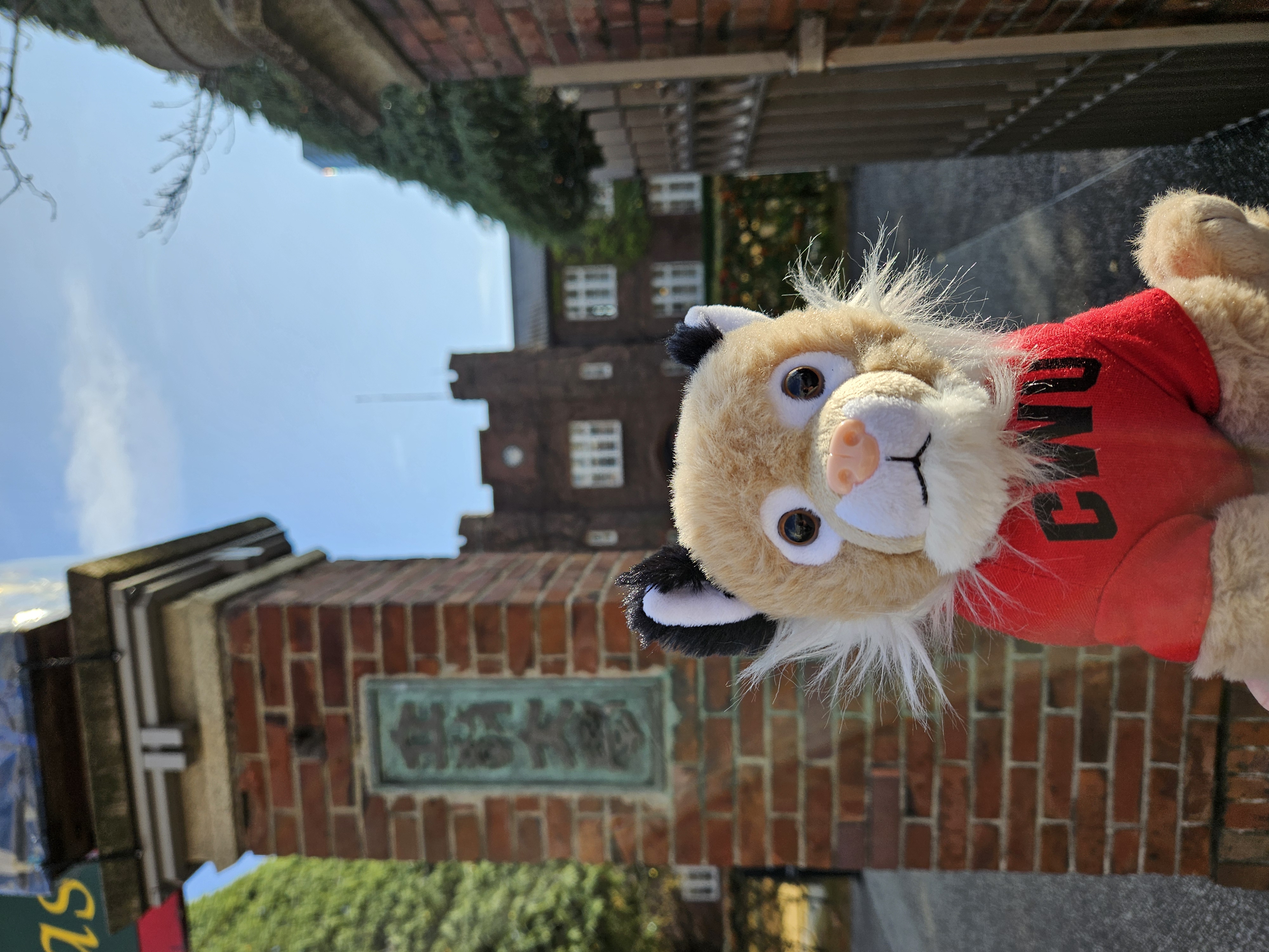 Wellington at Rikkyo