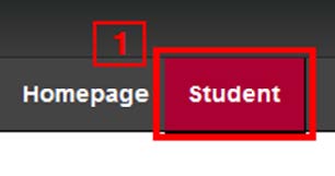 cwu-student-homepage-tab.jpeg