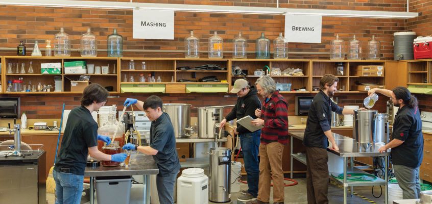 Group of students using various types of equipment during a craft brewing lab.