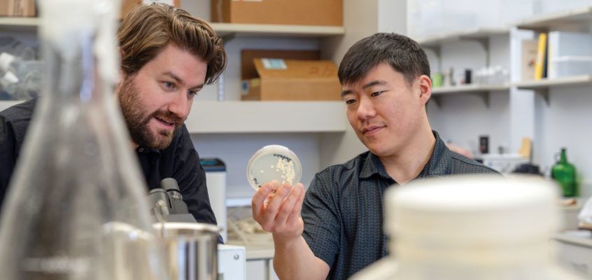 Students looking into a petridish containing some form of culture.