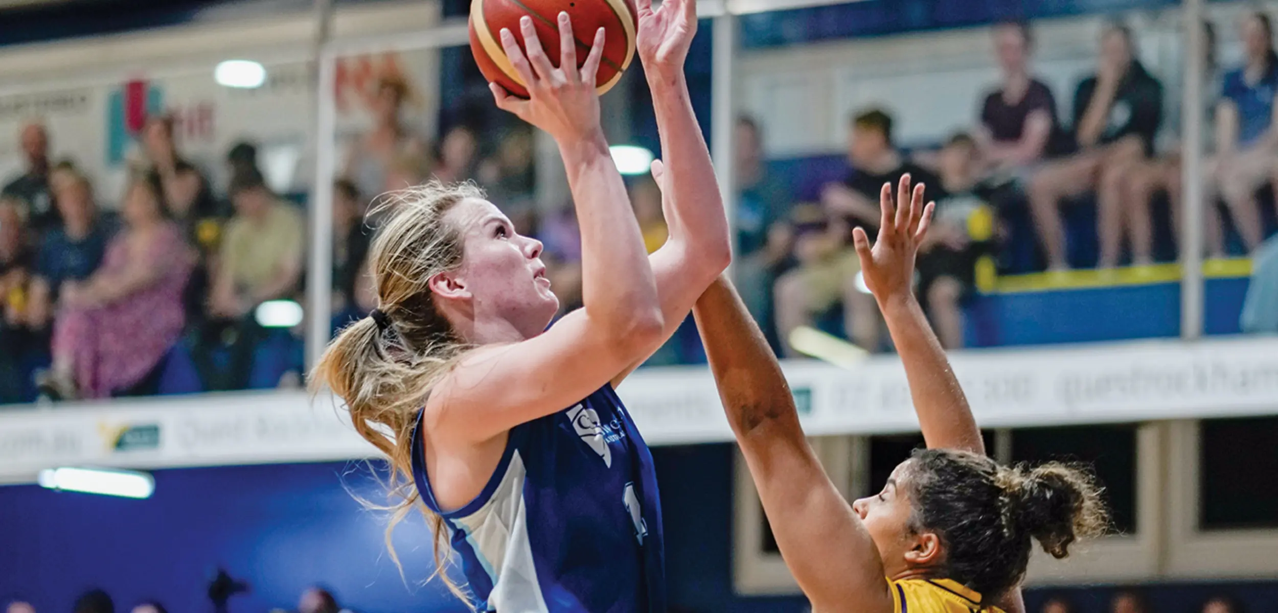 Sam Bowman playing basketball, jumping while holding the ball getting ready to throw it.