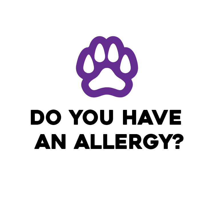 An icon of the purple paw program with text asking, "do you have an allergy"?
