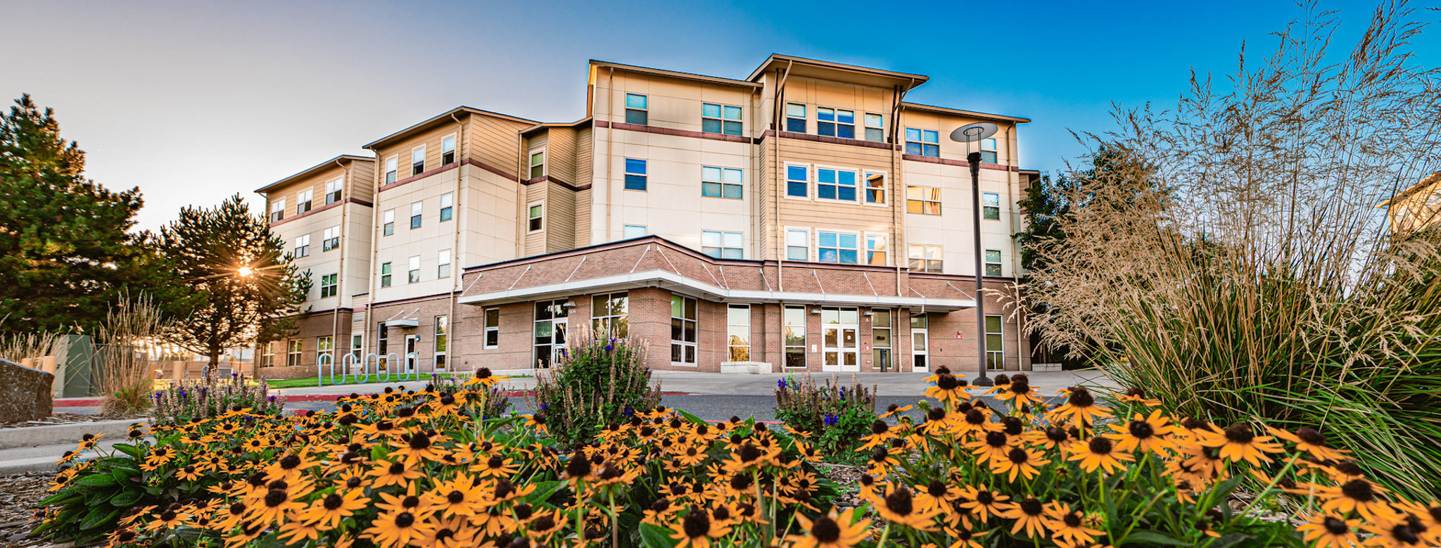 4-story tan modern residence hall with yellow flowers in front