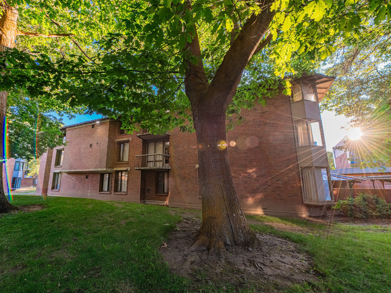 Brick 3-story residence hall with a tree beside it