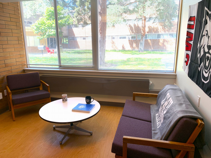 Living room area with couch and chair
