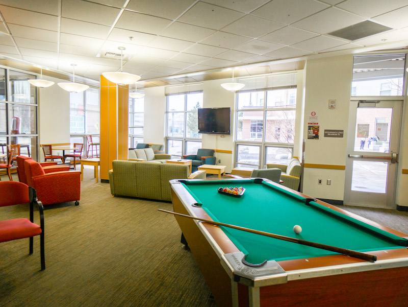 Lounge with couches, chairs, and a pool table