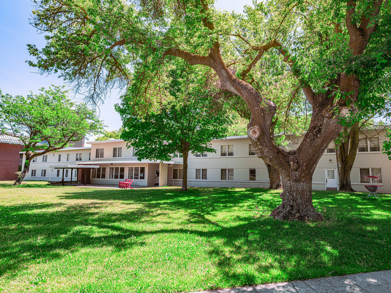 Grassy area behind residence hall with red lawn chairs and benches