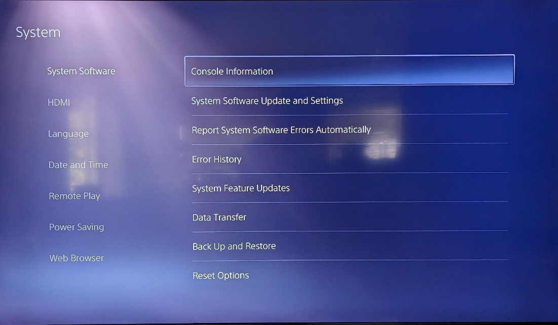 Screenshot of console information highlighted