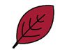 A logo of a leaf, the leaf is red.