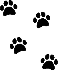 An icon of paw prints