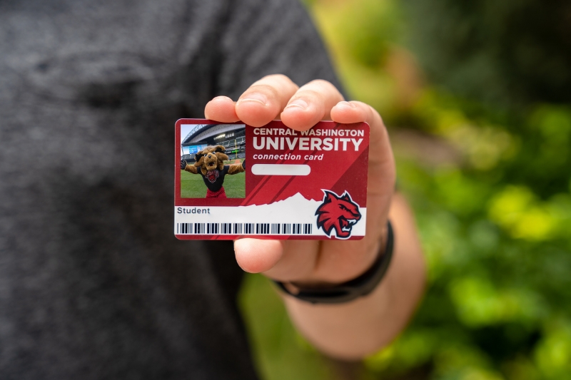 Person holding a connection card. The card is red and has a bar code and mascot logo on the bottom. The top of the card says Central Washington University Connection card. The student number is crossed off in editing for safety as well as the picture on the card, which a picture of Wellington the Wildcat football mascot photoshopped in to hide the actual photo on the card. There is greenery in the background.